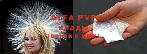винт Ельня