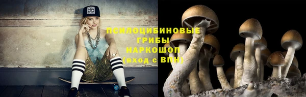бошки Елизово