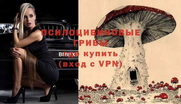 бошки Елизово