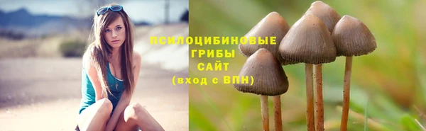 винт Ельня