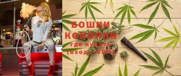 винт Ельня