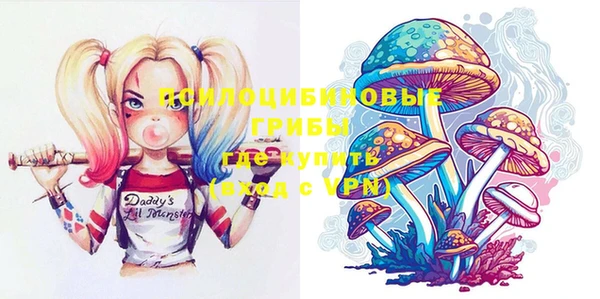 винт Ельня