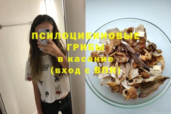 бошки Елизово