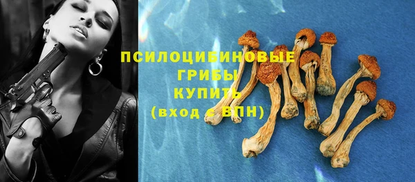 бошки Елизово