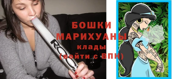 винт Ельня