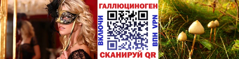Псилоцибиновые грибы мицелий  Купить  Теберда 